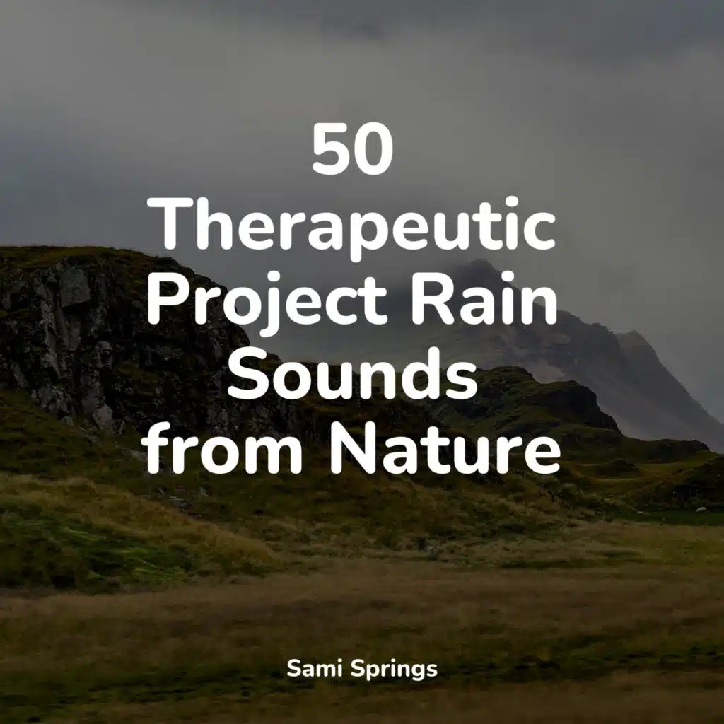 50 Therapeutic Project Rain Sounds from Nature