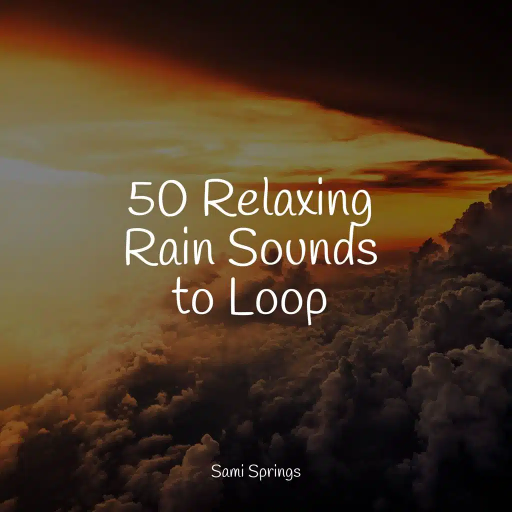 50 Relaxing Rain Sounds to Loop