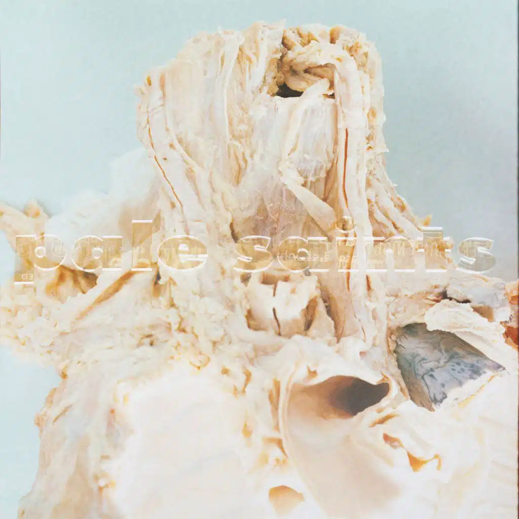 In Ribbons (30th Anniversary Reissue)