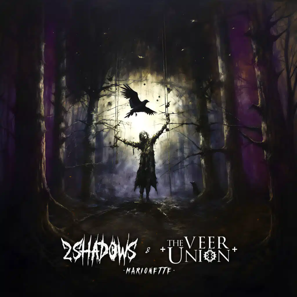 The Veer Union & 2 Shadows