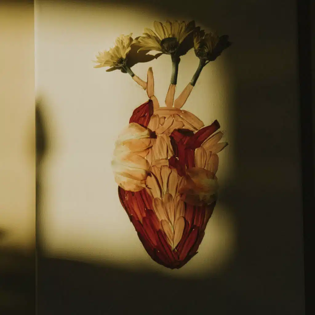 Flores de Misericórdia