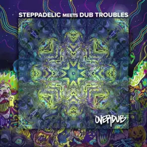 Steppadelic & Dub Troubles