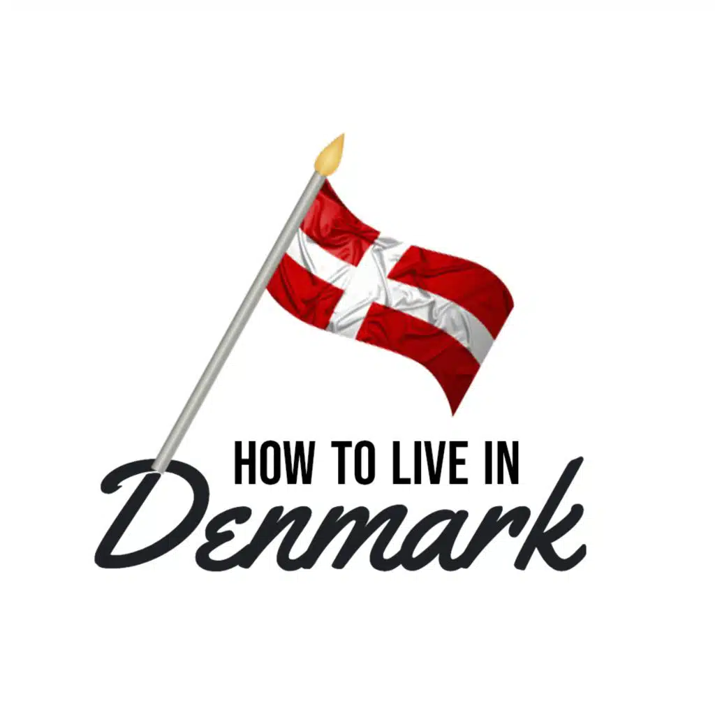 The Bridges of Denmark