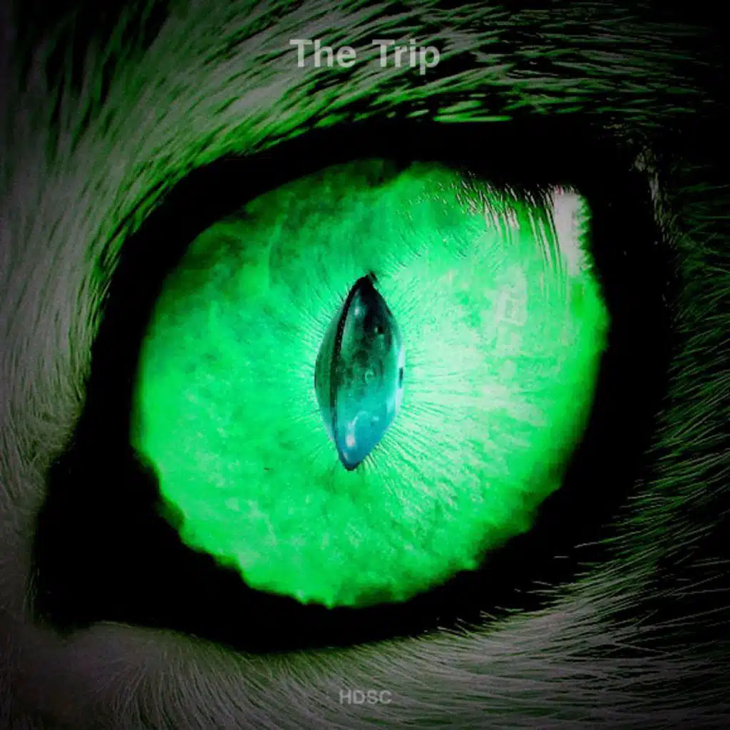 Hang Drum Social Club