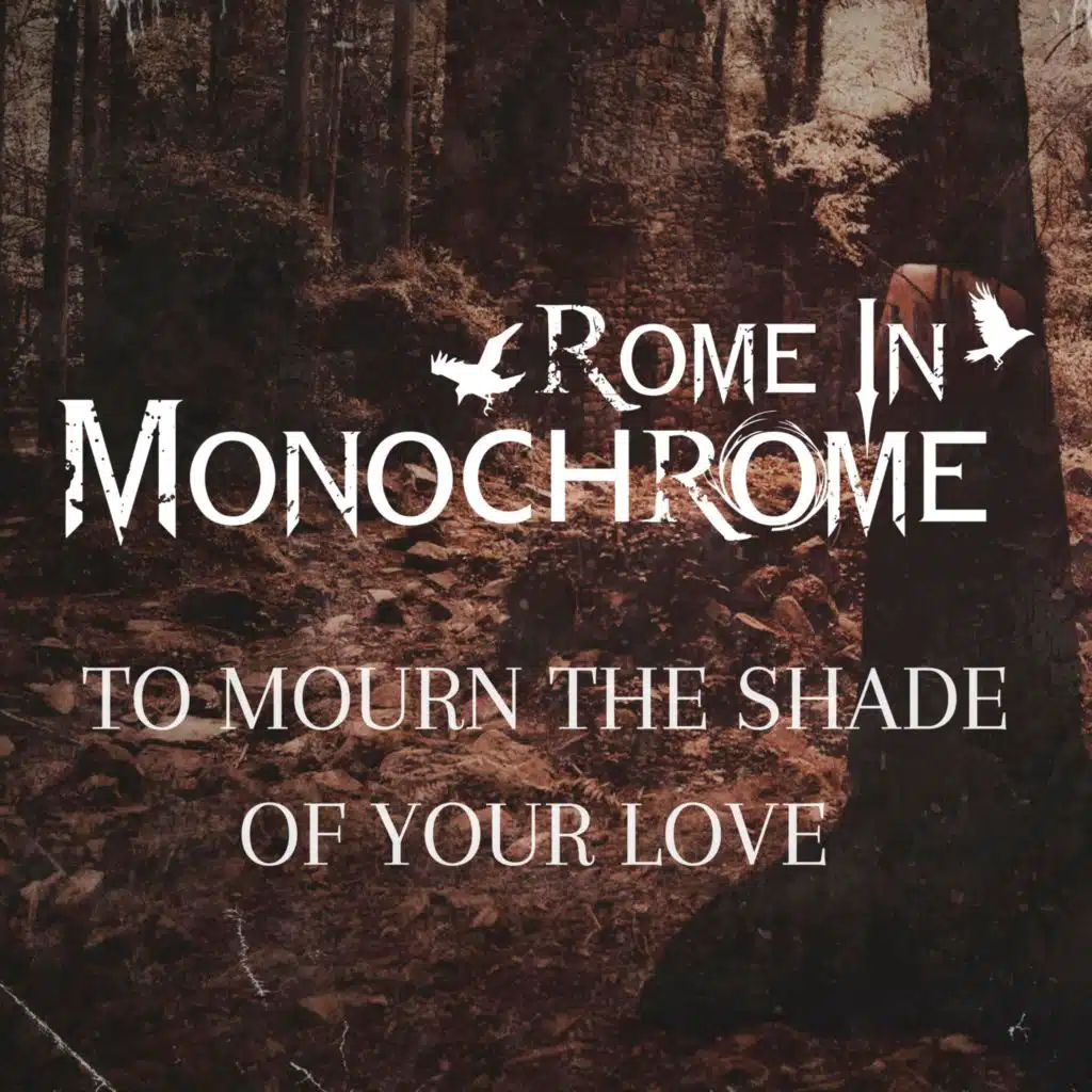 To Mourn The Shade Of Your Love