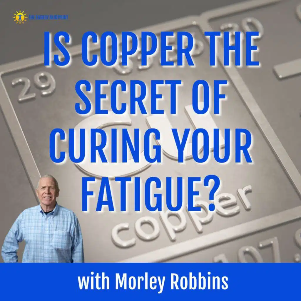 Is Copper The Secret of Curing Your Fatigue? with Morley Robbins