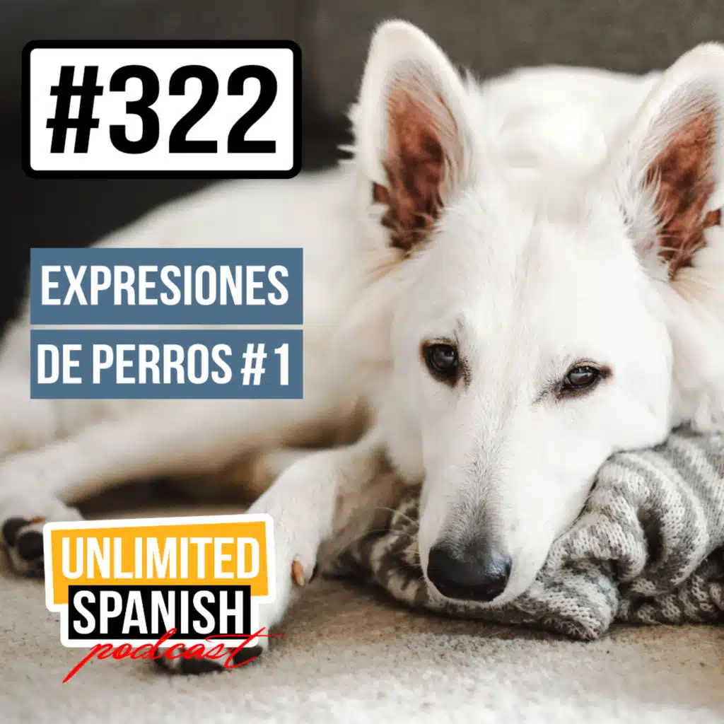 #322 Expresiones de perros 1