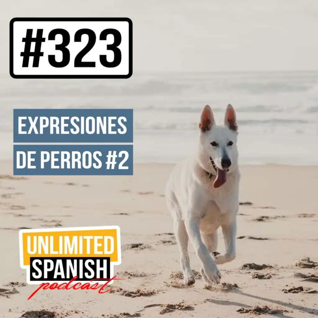 #323 Expresiones de perros 2