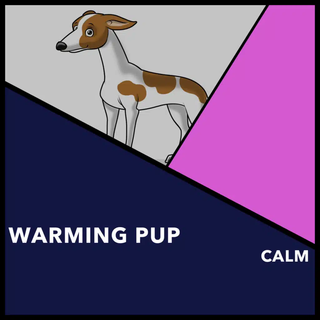 Relaxing Doggy Sleep & Calming Doggy Relaxation