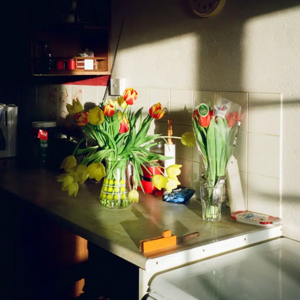 I Don't Think I Do (Demo Versions)