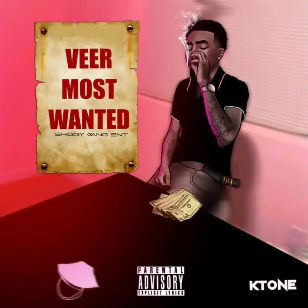 Veer most Wanted