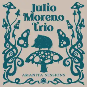 Julio Moreno Trio