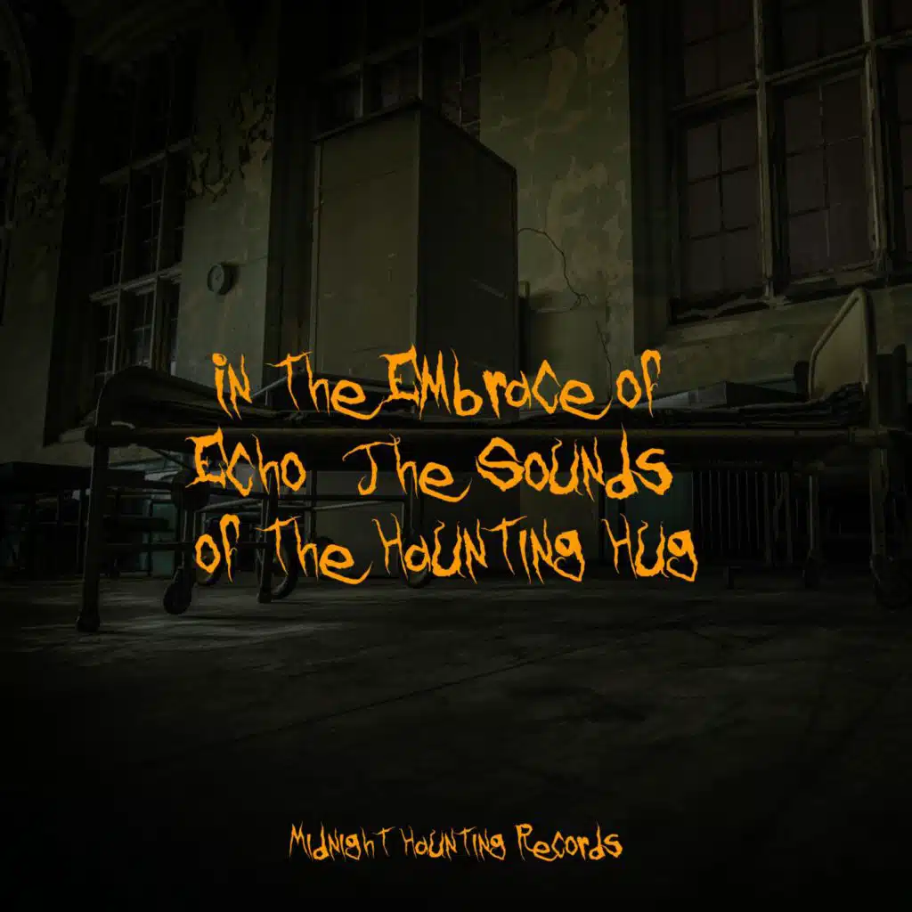 In the Embrace of Echo: The Sounds of the Haunting Hug