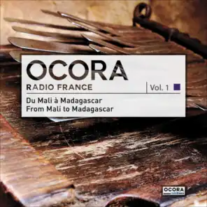 Le monde des musiques traditionnelles : Du Mali à Madagascar, vol. 1