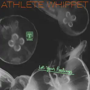 Athlete Whippet