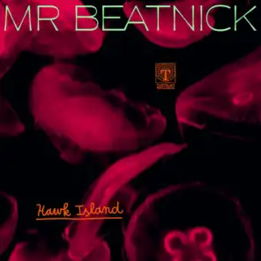 Mr Beatnick