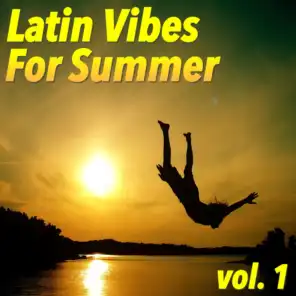 Latin Vibes For Summer, vol. 1