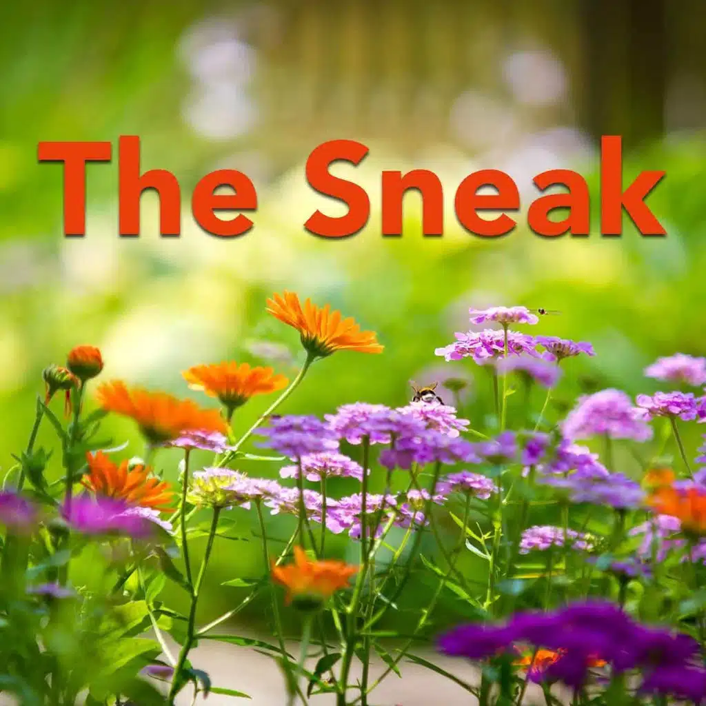 Rick And The Masters