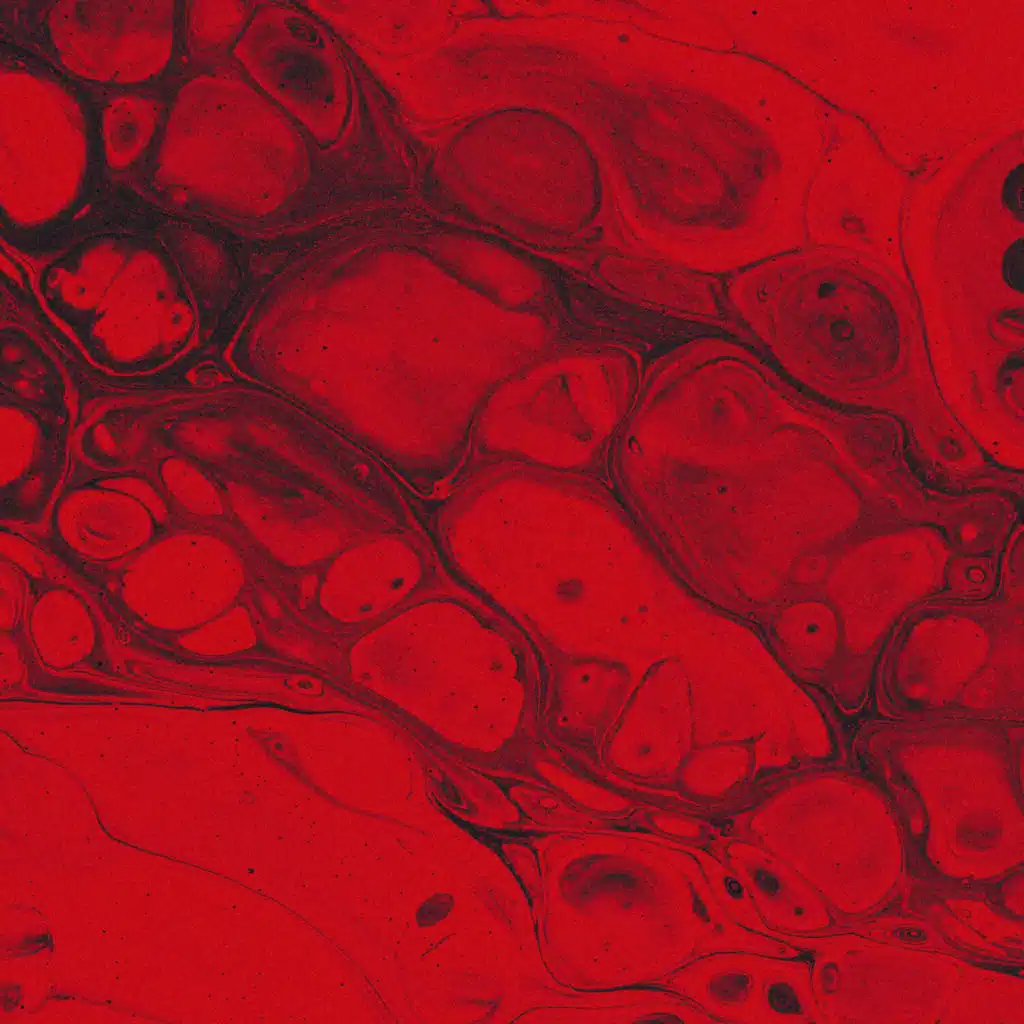 past lives (slowed down)