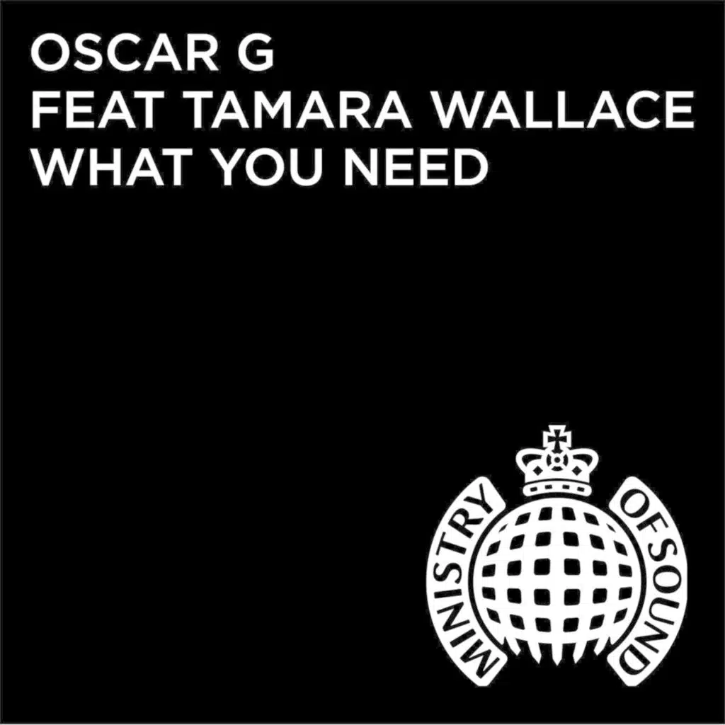 What You Need (Denney Remix) [feat. Tamara Wallace]
