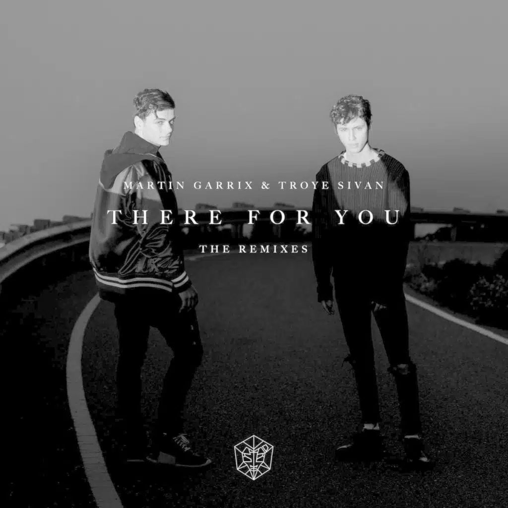 Martin Garrix & Troye Sivan