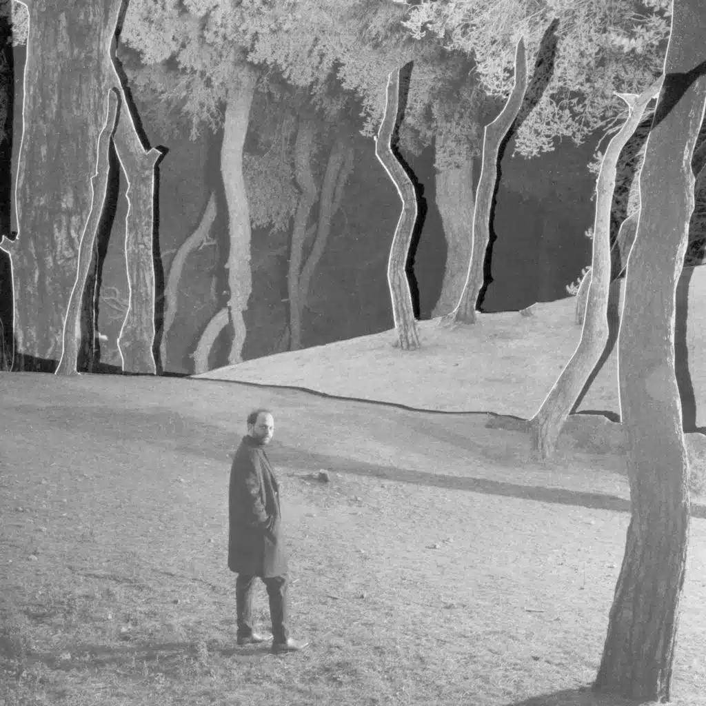 Yelkenlerim Sana Doğru