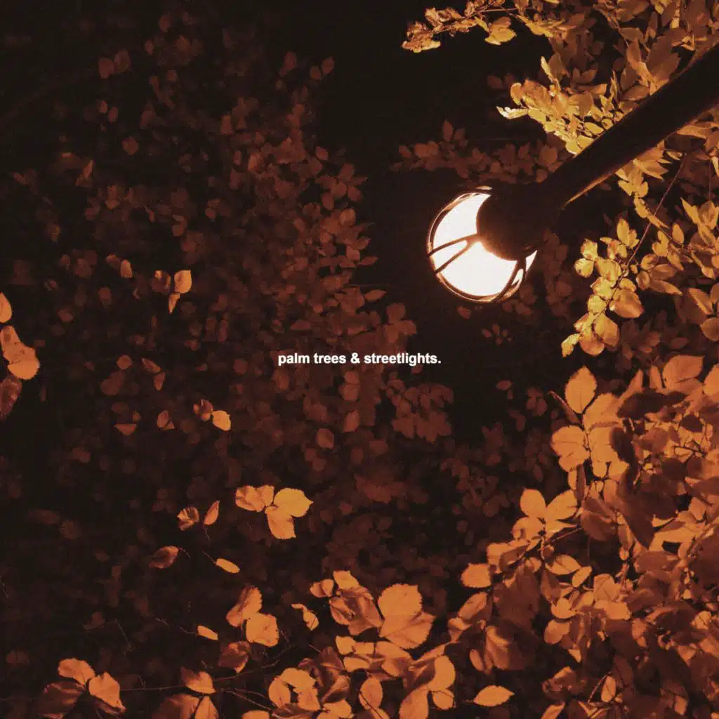 palm trees & streetlights