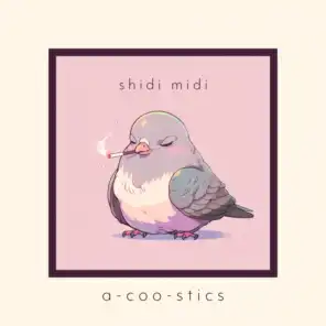 Shidi Midi