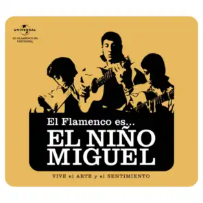 Flamenco Es... El Niño Miguel