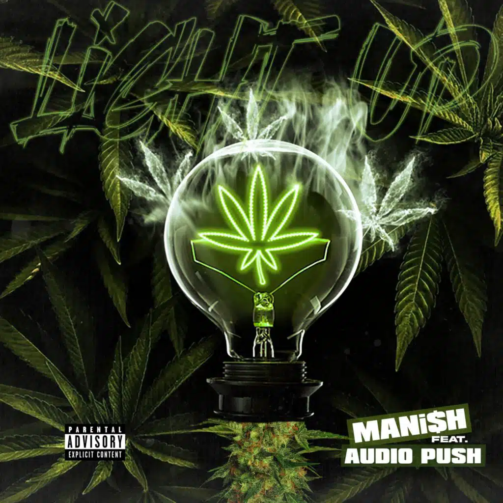 Light Up (feat. Audio Push)