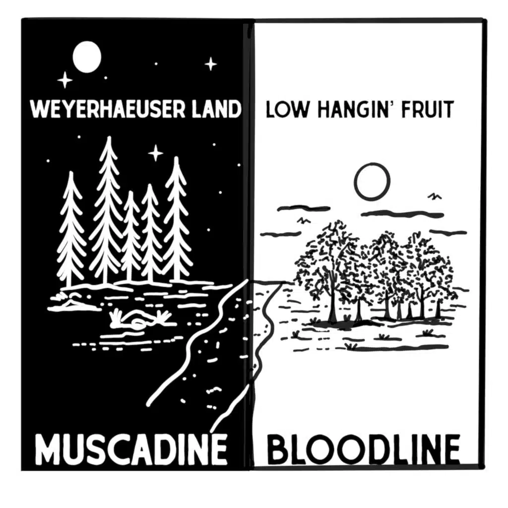 Weyerhaeuser Land / Low Hangin' Fruit
