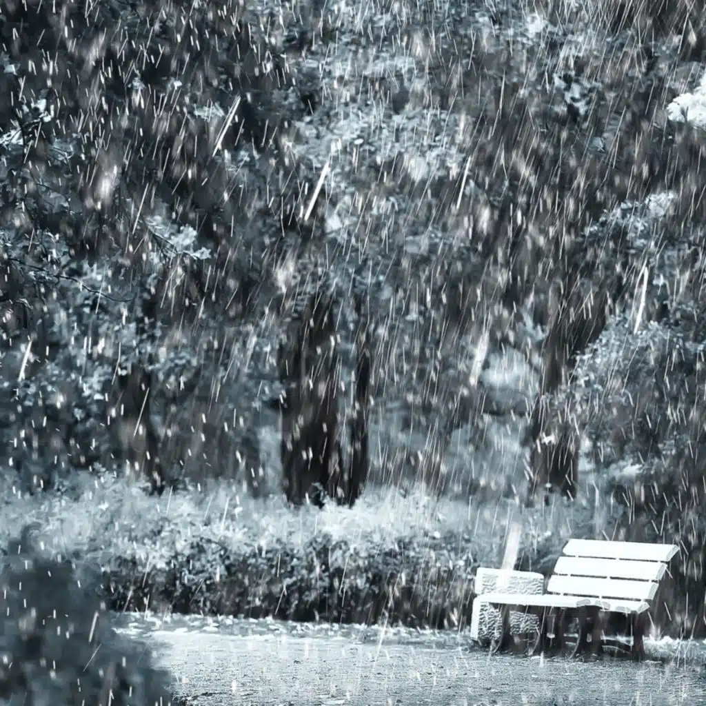 Rainy Whispers: Theta Waves, Rain