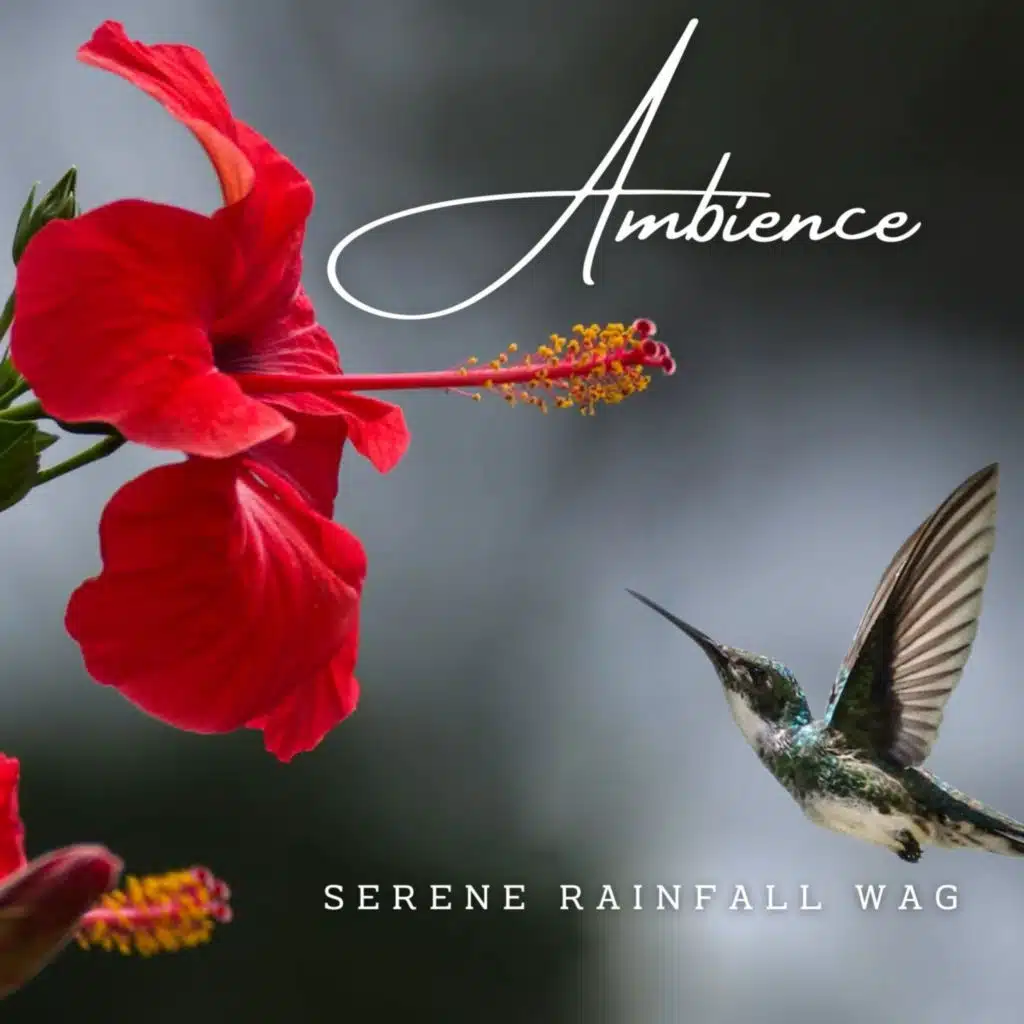 Canine Tranquility: Rainfall Ambience for Dogs