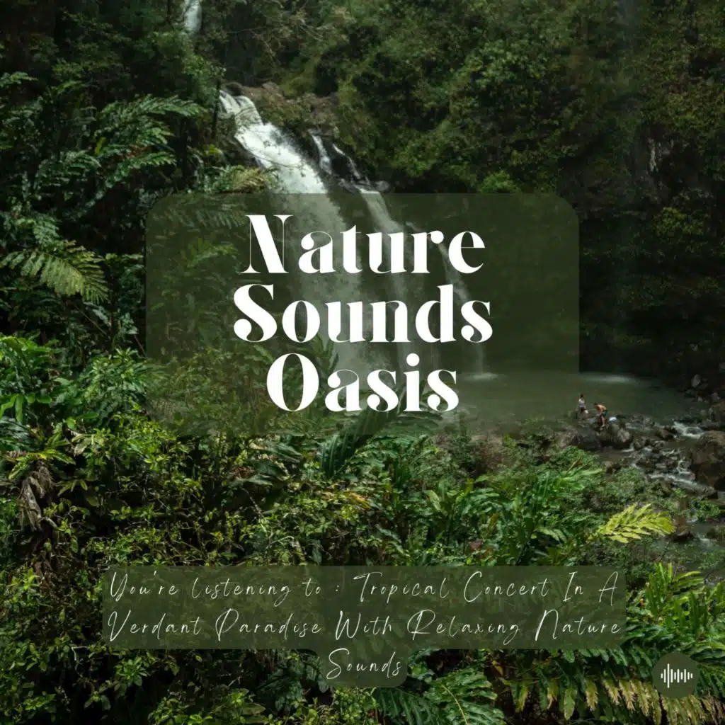 Waterfall Concert | Relaxing Nature Sounds For Sleep, Meditation, Relaxation Or Focus | River Sounds, Forest Soundscape, Birds, Waterfall, Zen, Sleep Music, Musique Pour Dormir, Música Para Dormir