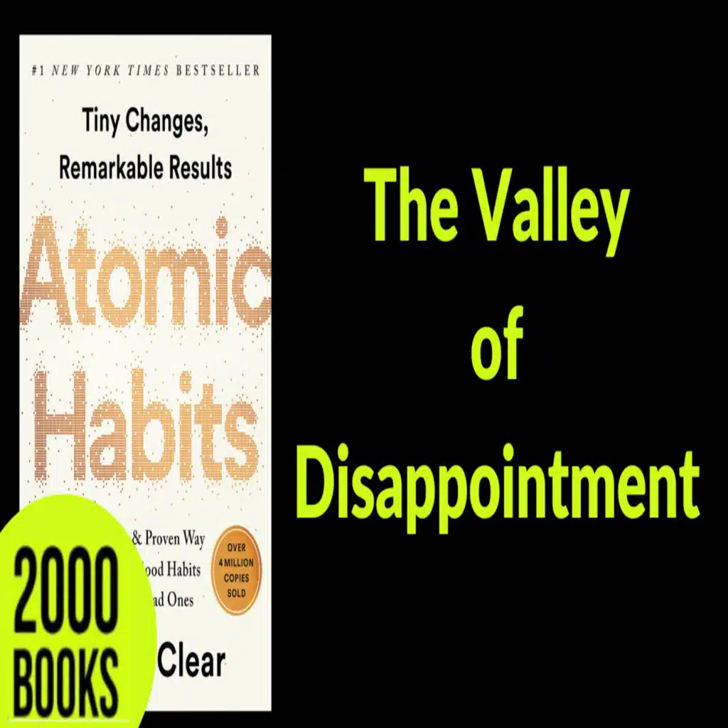 391[Productivity] The Valley of Disappointment | Atomic Habits - James Clear