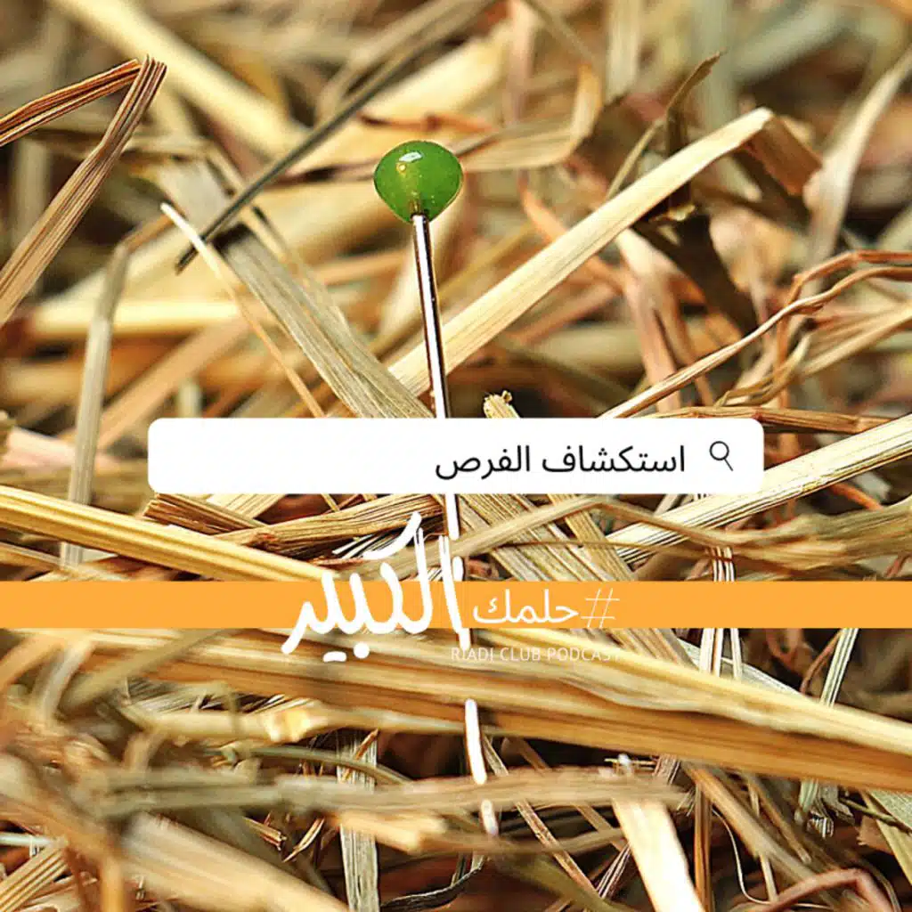 اكتشف الفرص (الجزء ۲ من ۷ - حلمك الكبير)