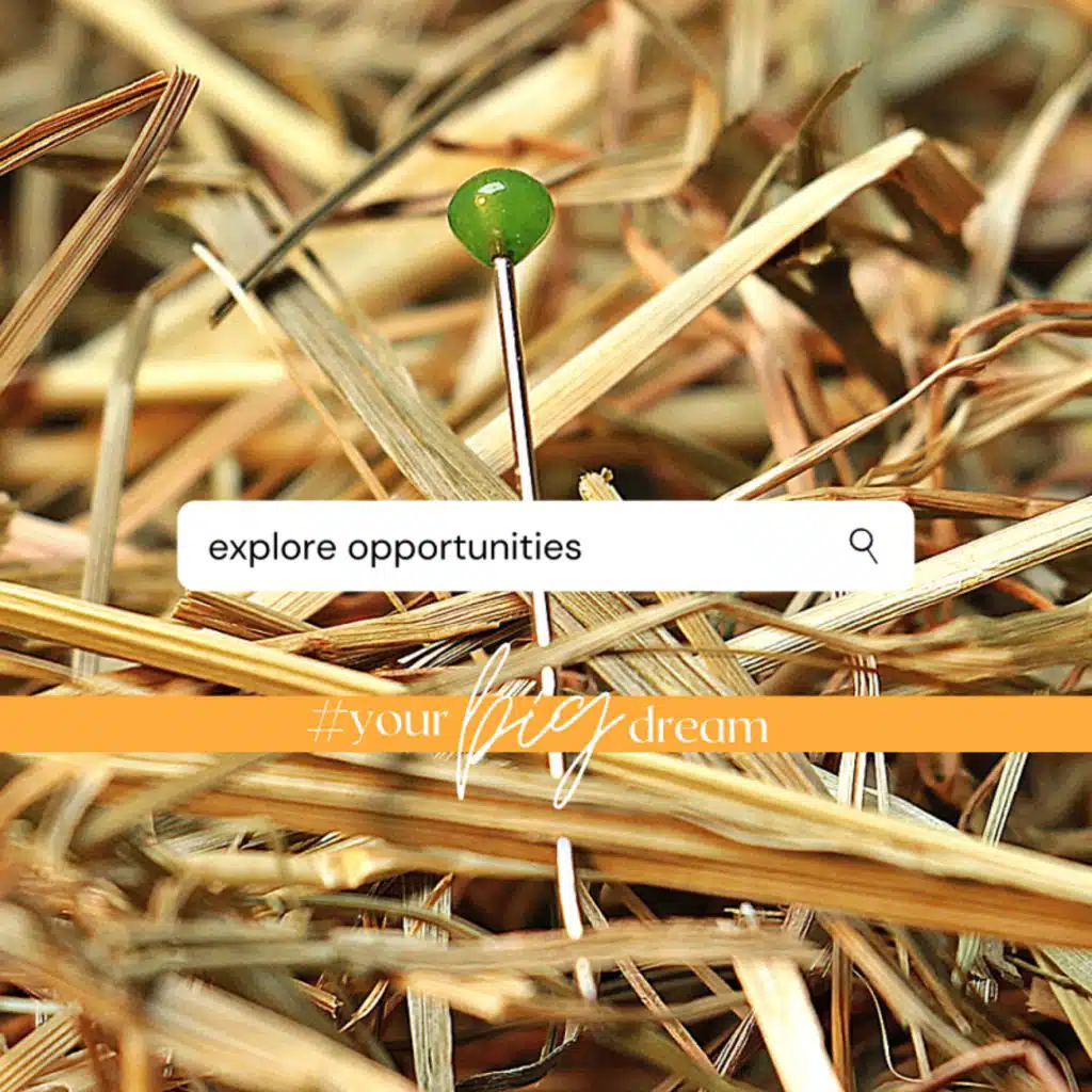 Explore Opportunities (Part 2 of the Your Big Dream season)