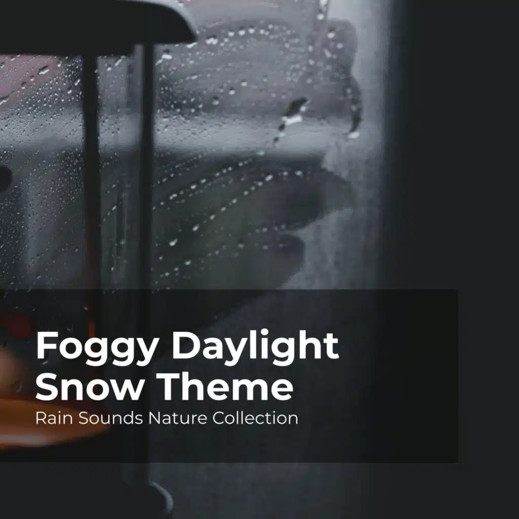 Foggy Daylight Snow Theme