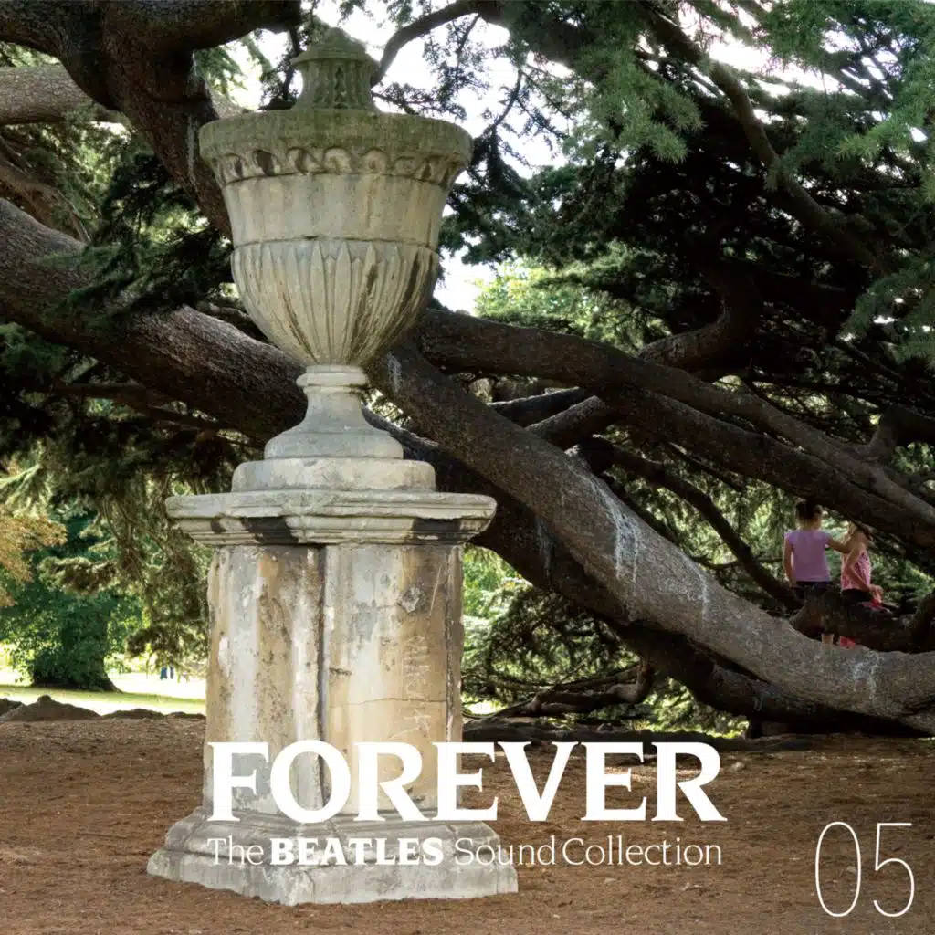 Mark Soskin's Rock Crusaders