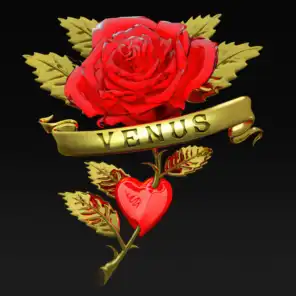 Venus (Boys Noize Rework) [Edit] (Boys Noize Rework Edit)