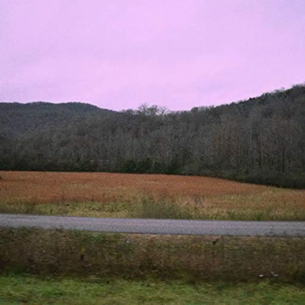 idonthateyou & Shiloh Dynasty