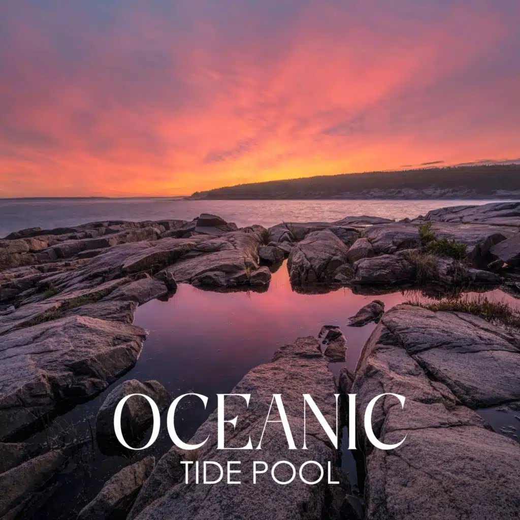 Oceanic Tide Pool: Restful Nature Collection, Night Slumber, Ocean Ambience