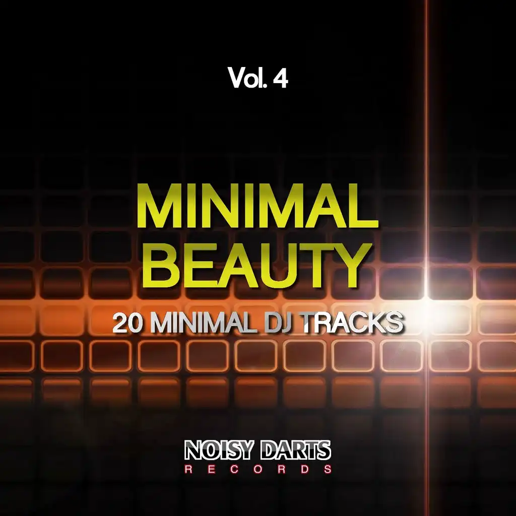 Minimal Beauty, Vol. 4 (20 Minimal DJ Tracks)
