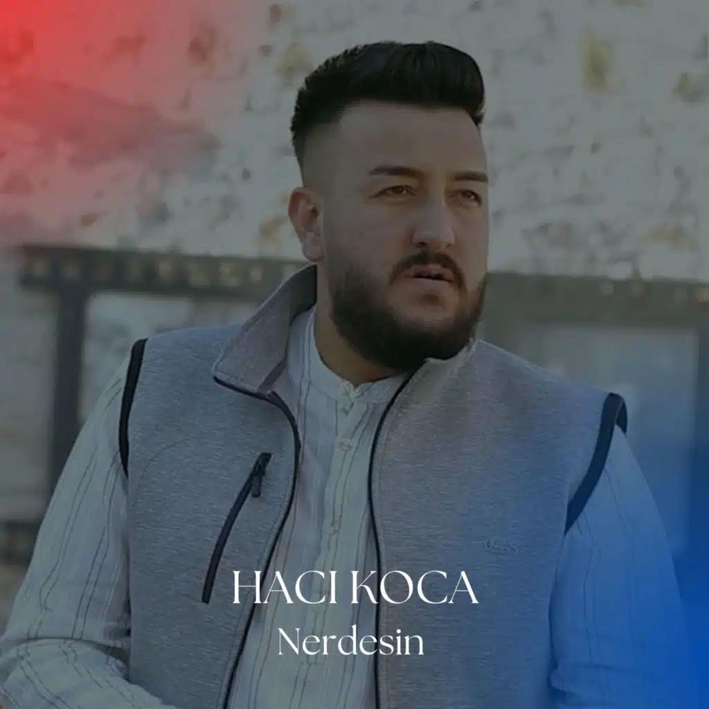 Nerdesin (feat. Mehmet Elmas)