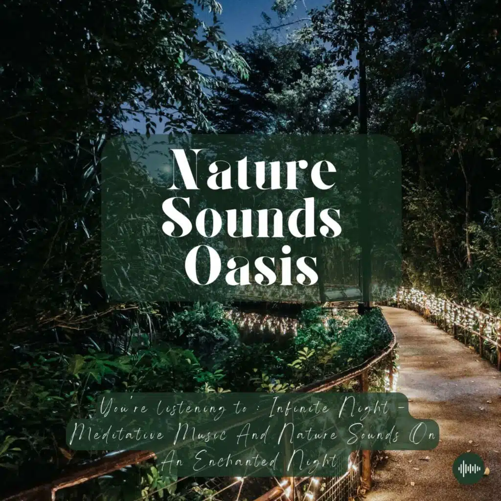 Meditative Music On An Enchanted Night | Piano, Relaxing Music & Nature Sounds For Sleep, Meditation, Relaxation Or Focus | Sleep Music, Study Music, Zen, Rain, Musique Pour Dormir, Música Para Dormir