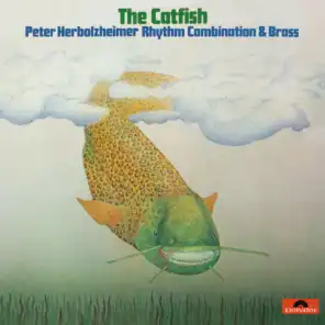 The Catfish - Live