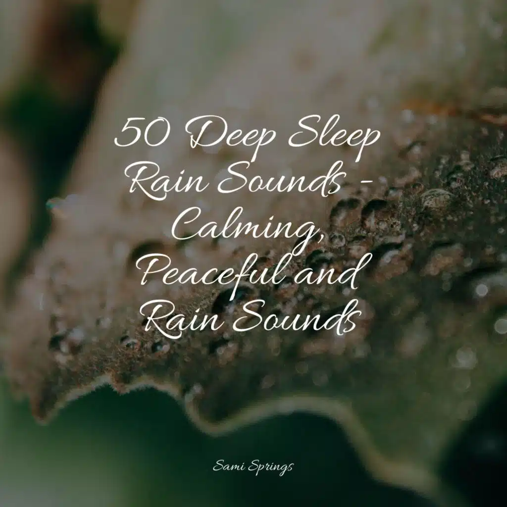 Dripping Arboreal Rain