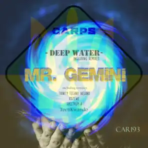 Mr. Gemini