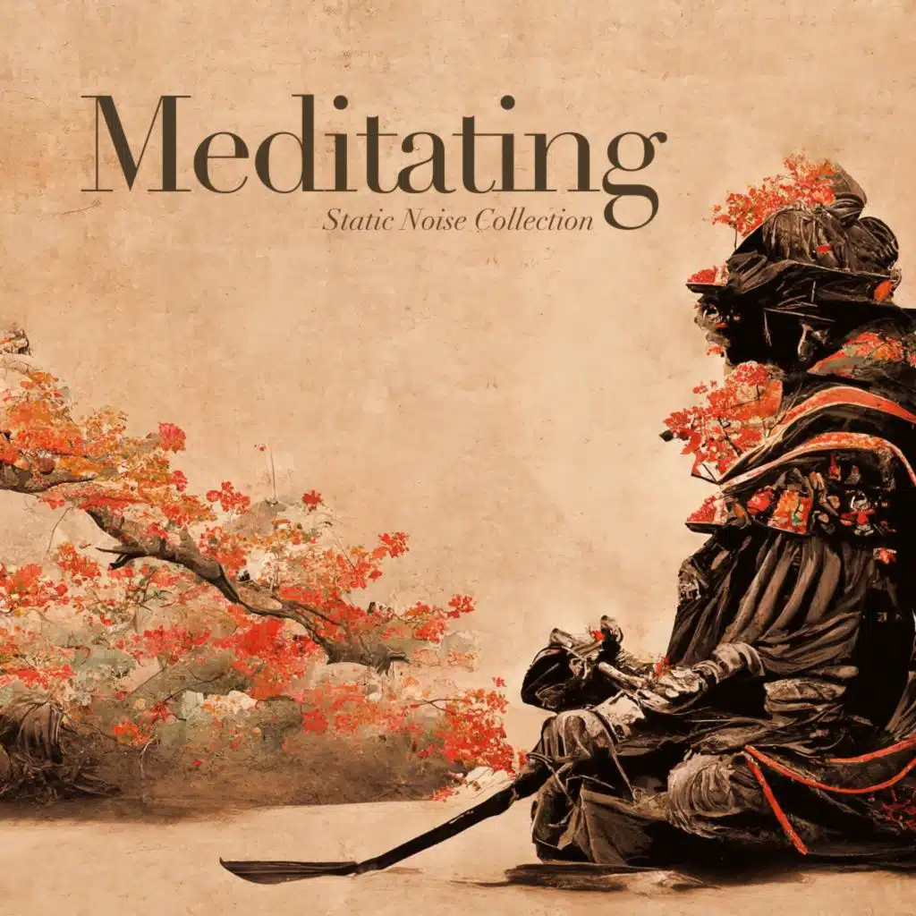 Static Noise Collection & Stefan Zintel