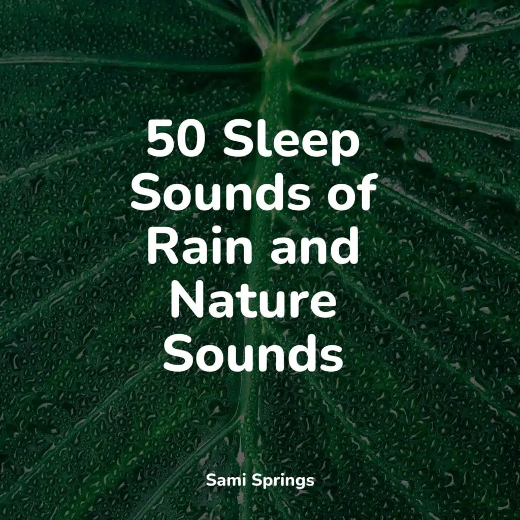 50 Sleep Sounds of Rain and Nature Sounds